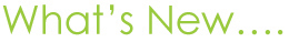 whats new in bedding