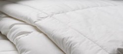 Logan & Mason 100% Cotton Quilt